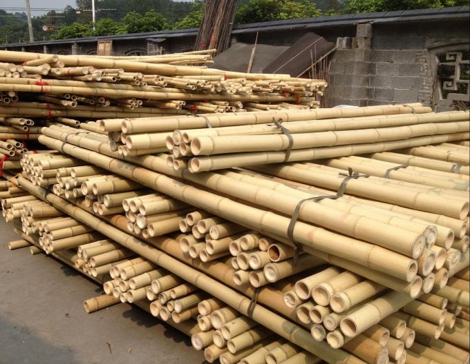 Ceny hurtowe naturalny mocz roślinny słupek mocz sztylet do wspinaczki rośliny mocz słupki wsparcie 0