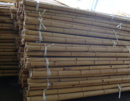 Ceny hurtowe naturalny mocz roślinny słupek mocz sztylet do wspinaczki rośliny mocz słupki wsparcie 2