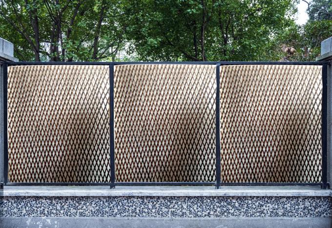 Gałęzie wierzby naturalnej dla idealnego tła i rozwiązania zapewniającego prywatność 2