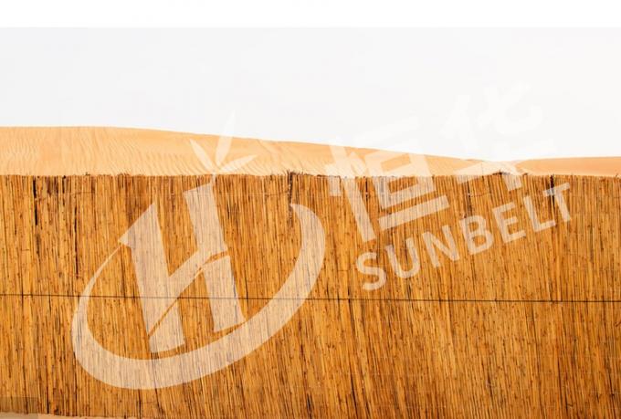 Płot z trzciny: ekologiczny i wszechstronny sposób na dodanie prywatności i cienia 4