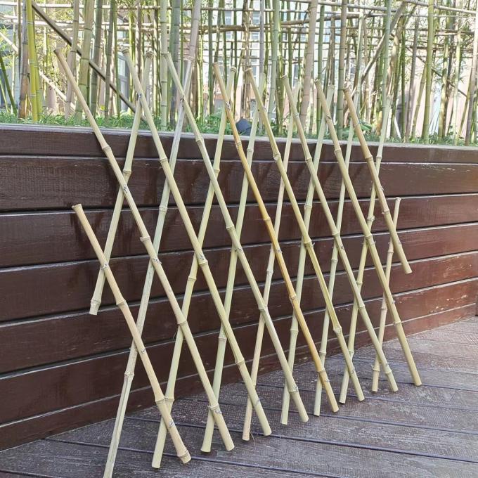 Expanding Bamboo Pole Fence , Natural Garden Privacy Screen Roll 6 Ft X 6 Ft 0