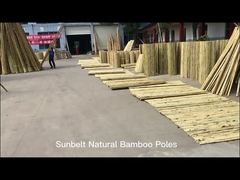 100% naturalny żółty bambusowy słupek o długości od 90 cm do 595 cm