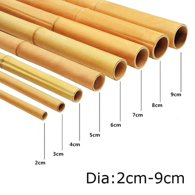 100% naturalny żółty bambusowy słup 90cm do 595cm Plant Garden Stakes
