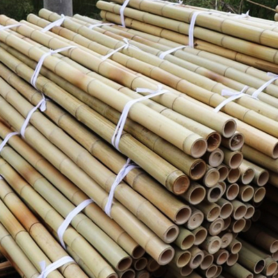 100% naturalny żółty bambusowy słup 90cm do 595cm Plant Garden Stakes