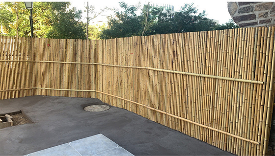 Podwórko Dekoracyjne bambusowe ogrodzenie Tonkin Bamboo 1,5m Ogrodzenie ogrodowe na zewnątrz