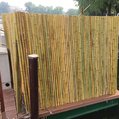 Home Rolled Bamboo Screen Fencing Backyard Garden Dekoracyjne panele bambusowe