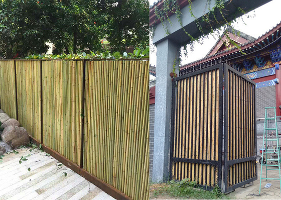Home Rolled Bamboo Screen Fencing Backyard Garden Dekoracyjne panele bambusowe