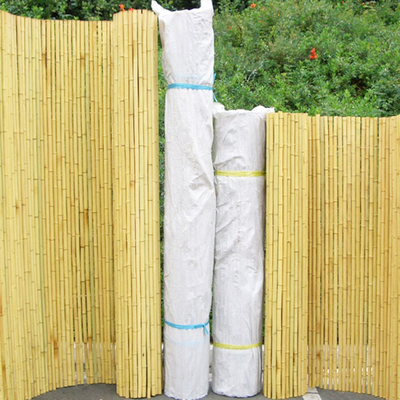 Naturalne kolorowe bambusowe przesiewanie 240cm ogrodowy bambusowy płot rolowany