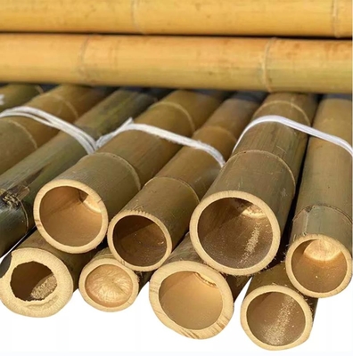 Wyrób naturalny Moso Dry Bamboo Pole Solid Moso Bamboo Pole Do Budowy lub Dekoracji