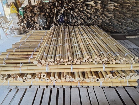 18 mm do 160 mm średnica trzcina bambusowa Moso Bamboo Pole Budowa Rolnictwo