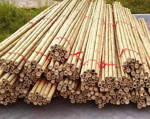 Meble Ogrodowe Naturalne Słupki Bambusowe Słupki Proste Do Rośliny Ogrodowej Długość 16cm