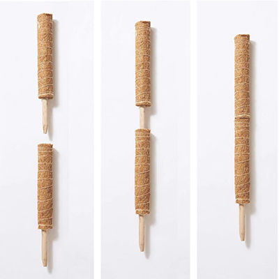 Męczak dla roślin wspinaczkowych 30cm 40cm 60cm 90cm Naturalny kokosowy kokosowy totem