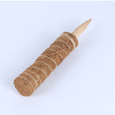 Męczak dla roślin wspinaczkowych 30cm 40cm 60cm 90cm Naturalny kokosowy kokosowy totem