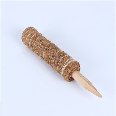 Męczak dla roślin wspinaczkowych 30cm 40cm 60cm 90cm Naturalny kokosowy kokosowy totem