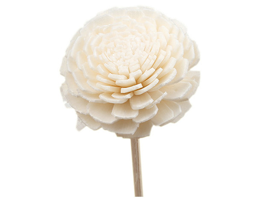 Pachnący dyfuzor trzcinowy z suszonego drewna Sola Flower 15 cm z bawełnianym knotem do dekoracji