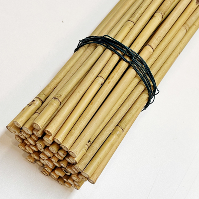 Dostosowane naturalne bambusowe surowce Bambusowe słupki 40 cm 60 cm 90 cm Długość 6 mm Średnica