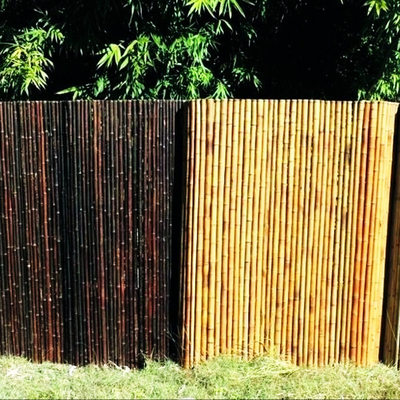 Panele ogrodzeniowe z naturalnego bambusa o długości 180 cm i 240 cm