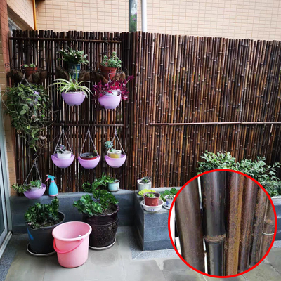 Naturalny materiał bambusowy Malowane bambusowe panele ogrodzeniowe Walcowane bambusowe ogrodzenie Prywatność Ogrodowa granica