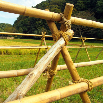 100% Naturalny Mocny Trwały Bambusowy Słup Moso Dostosuj długość