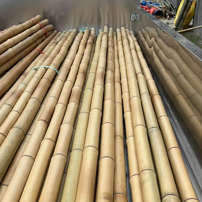 18 mm do 160 mm średnica trzcina bambusowa Moso Bamboo Pole Budowa Rolnictwo