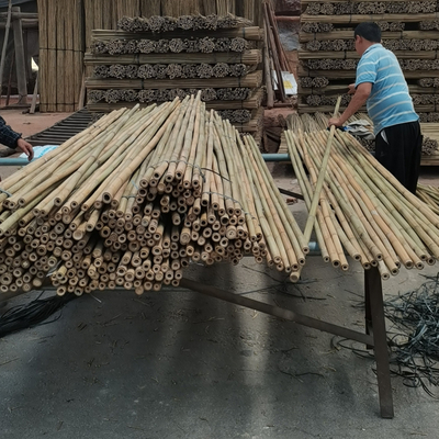 18 mm do 160 mm średnica trzcina bambusowa Moso Bamboo Pole Budowa Rolnictwo