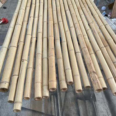 100% naturalny żółty bambusowy słup 90cm do 595cm Plant Garden Stakes