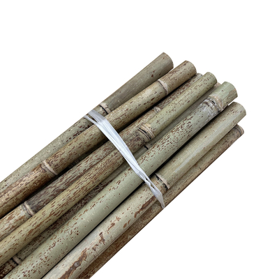 Naturalne surowe bambusowe słupki Moso 2cm 3cm 4cm 5cm 6cm 8cm 10cm Średnica