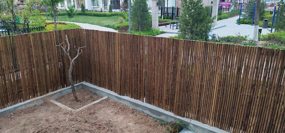 Przedszkole 2x1,8m Dekoracyjne bambusowe ogrodzenie z ramą Karbonizowane ogrodzenie bambusowe