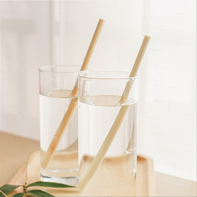 Wielokrotnego użytku Natural Bamboo 19cm Jednorazowe bambusowe słomki na koktajl kawowy