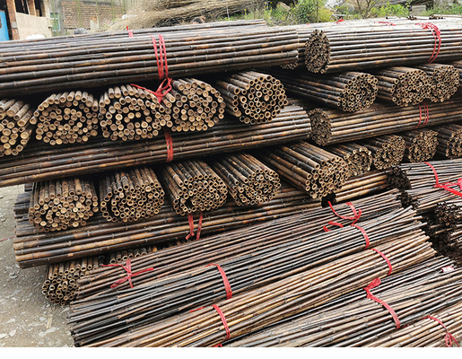 Dekoracyjny płot bambusowy 200x100
