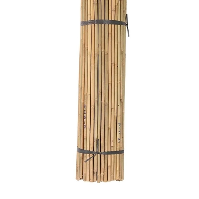 Bamboo Flower Sticks Ogrodnicze pałki do wsparcia roślin Dekoracja ogrodu