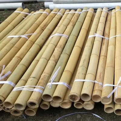 Bamboo Flower Sticks Ogrodnicze pałki do wsparcia roślin Dekoracja ogrodu