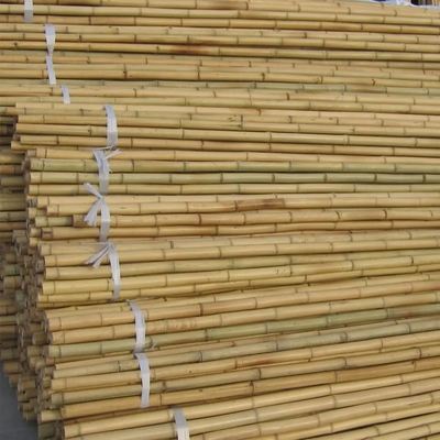 Bamboo Garden Stakes Rods Garden Sticks Bamboo Plant Stakes for Beans Grochów Ogórki Rośliny owocowe Drzewa
