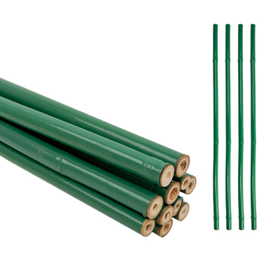 Zastosowany zielony PVC pokryty bambusowy obróbki wsparcie kwiatowe Tonkin bambusowe plastikowe rury słup