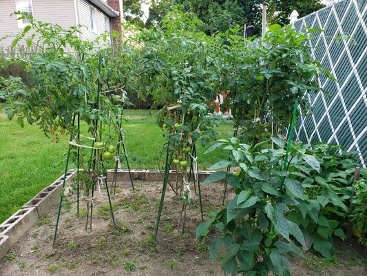 Plastic Coated Metal Stakes, Green Garden Stakes for Plant Support, Plant Climbing, Landscape, Fencing